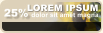 25% LOREM IPSUM dolor sit amet magna